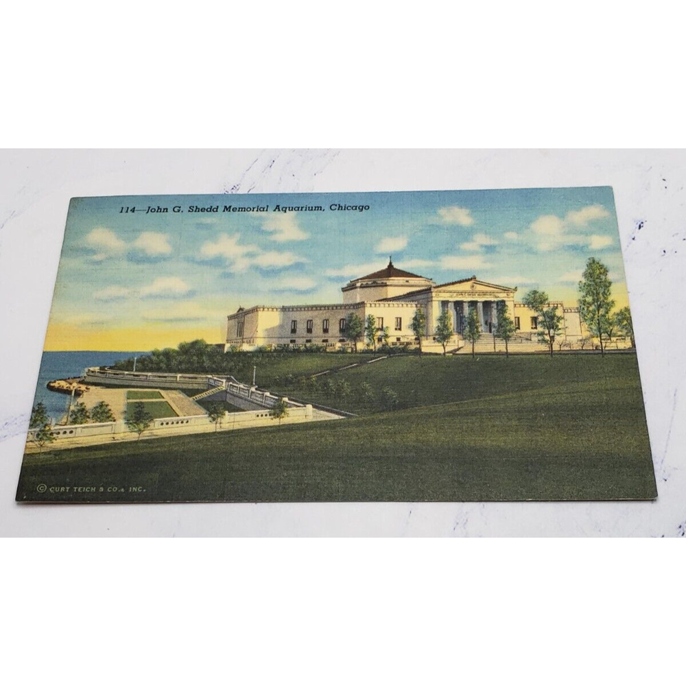 Postcard John G Shedd Memorial Aquarium Chicago Illinois USA North America
